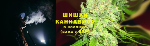 apvp Аркадак