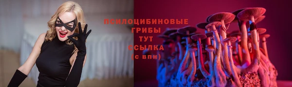 PSILOCYBIN Армянск