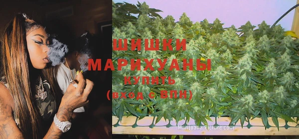apvp Аркадак