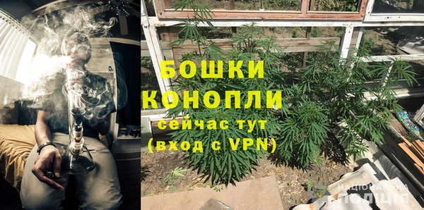 apvp Аркадак