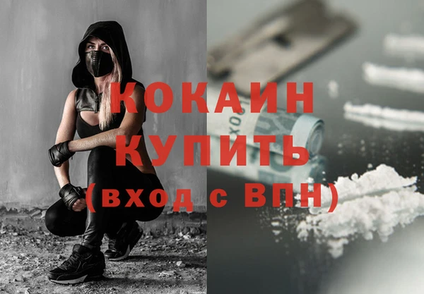 гашик Арсеньев