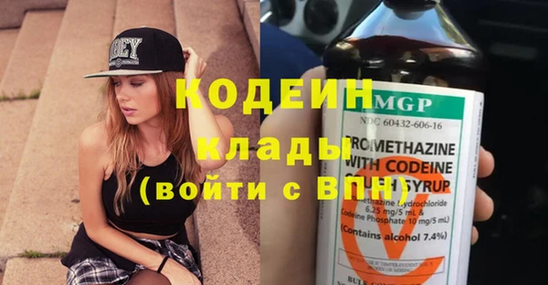 гашик Арсеньев