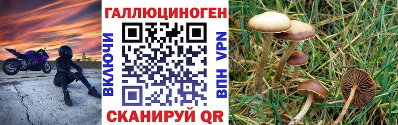 Галлюциногенные грибы MAGIC MUSHROOMS  Новый Уренгой 