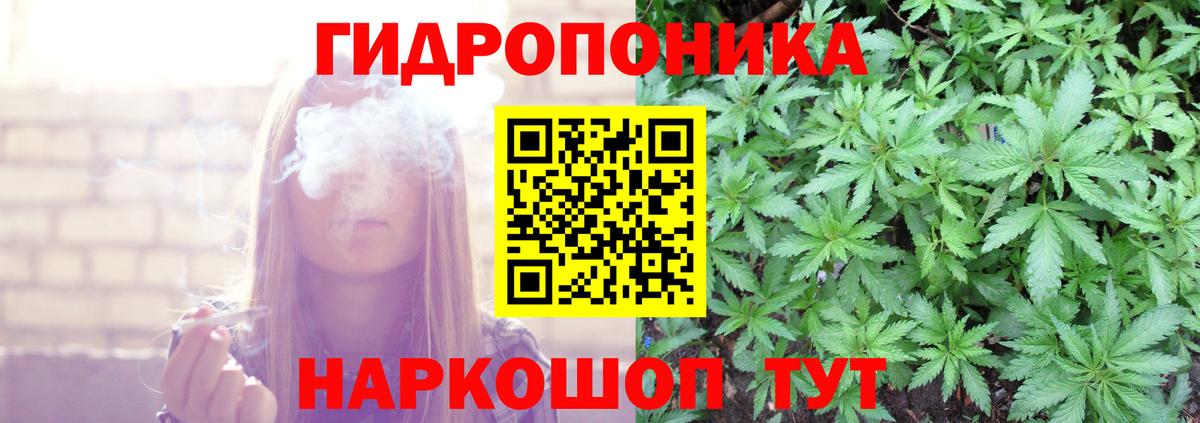 Шишки марихуана планчик Новый Уренгой