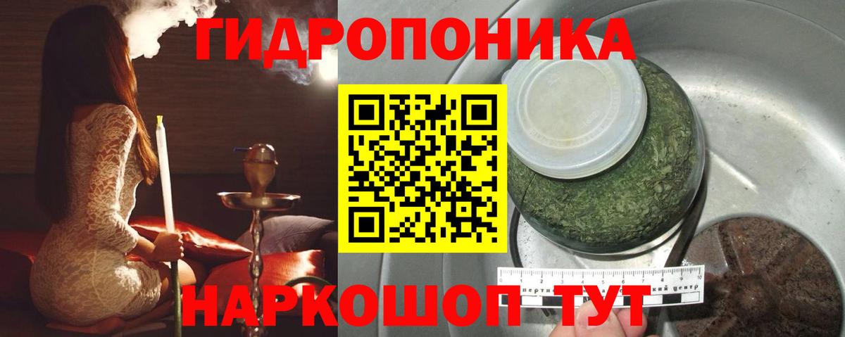 Каннабис ГИДРОПОН  Каннабис семена  Новый Уренгой  Вход с VPN 
